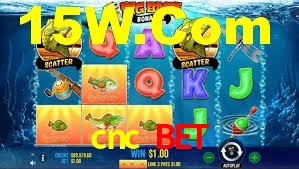 Cashback e recargas na cnc bet