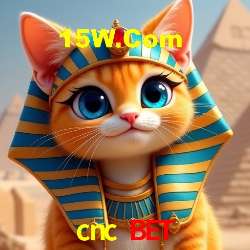 Programa VIP cnc bet