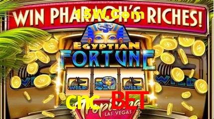 Benefícios da Conta cnc bet